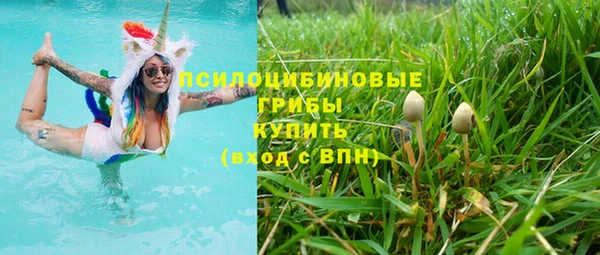 марки lsd Ельня