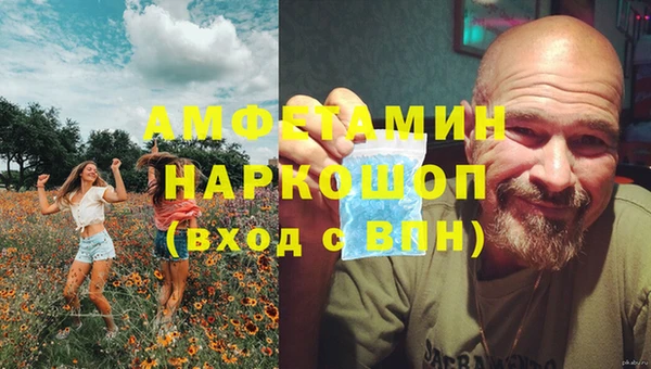 PSILOCYBIN Елабуга