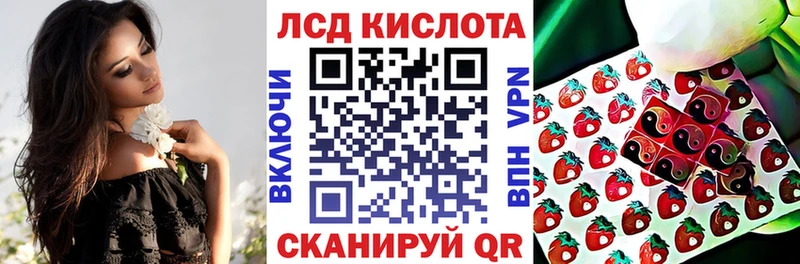 Купить закладки  Ленинградская  Наркотические марки 1500мкг 